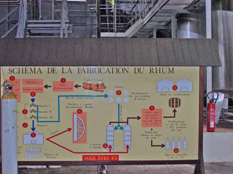 Schéma de la fabrication du rhum exposé dans une distillerie à Marie-Galante, détaillant les étapes de la canne à sucre à la mise en bouteille