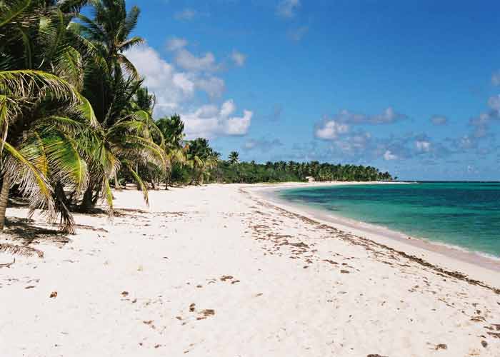Plage de la Feuillère à Capesterre-de-Marie-Galante, sable blanc bordé de cocotiers et eaux turquoise des Caraïbes sous un ciel bleu lumineux