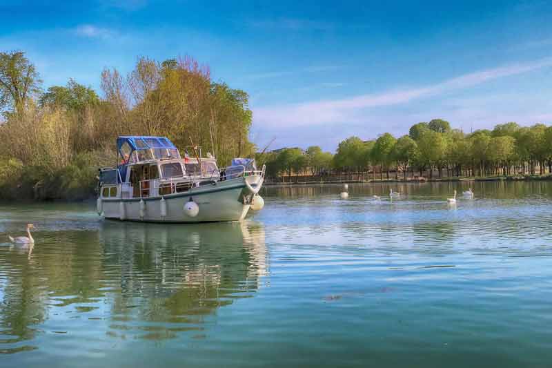 Croisière paisible en bateau sur la Marne en Seine-et-Marne, entourée de cygnes et de nature verdoyante