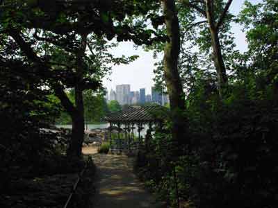 Sous les arbres devant le lac artificiel d’Harlem Meer (Central Park, New York)