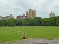 New-Yorkais qui jouent dans l’herbe ou se reposent sur les pelouses vertes de Central Park