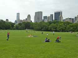 Pelouses vertes de central park et vue sur les gratte-ciel de Manhattan