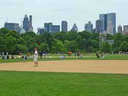 Adultes qui jouent au baseball dans Central Park