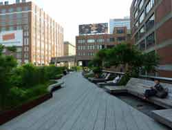 Promenade sur la high line (ancienne voie ferrée) de New York