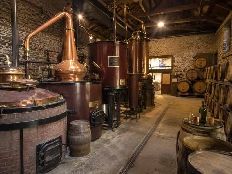 Alambics en cuivre et fûts de chêne dans une distillerie de calvados du Pays d'Auge