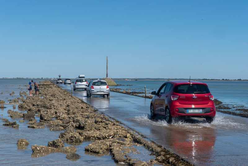 Voitures traversant le passage du Gois à marée basse, chaussée encore recouverte d'eau entre les bancs de coquillages, île de Noirmoutier