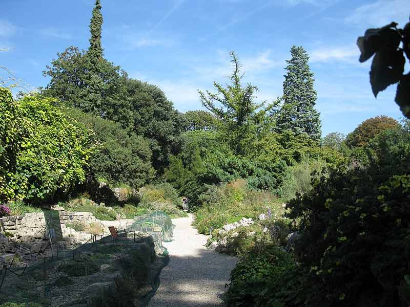 Jardin alpin (jardin des plantes de Paris)