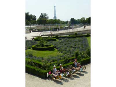 Vue sur la tour Eiffel depuis le jardin des Tuileries