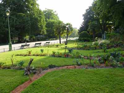 Pelouse verdoyante du parc Monceau