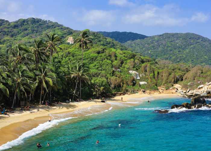 Plage tropicale du parc Tayrona en Colombie, bordée de palmiers et entourée de jungle luxuriante