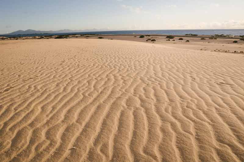 Dunes de sable du parc naturel de Corralejo à Fuerteventura avec vue sur l’océan Atlantique