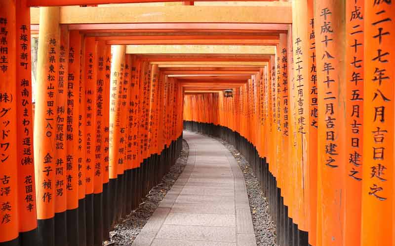 Allée de toriis, sanctuaire Fushimi Inari (Kyoto)
