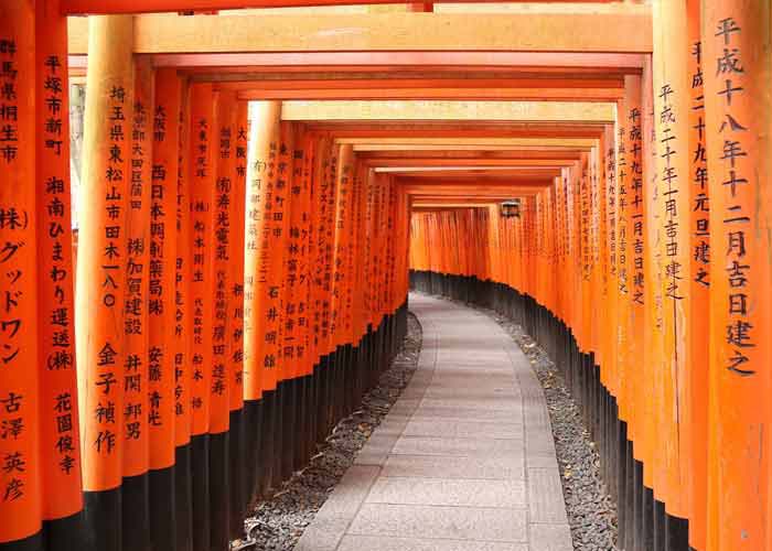 Toriis du sanctuaire de Fushimi Inari, Kyoto