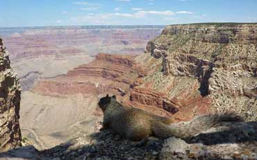 Grandview Point, Grand Canyon