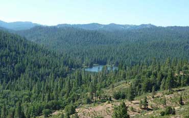 Vue sur une forêt de séquoia et sur un lac depuis la route panoramique de Kings Canyon