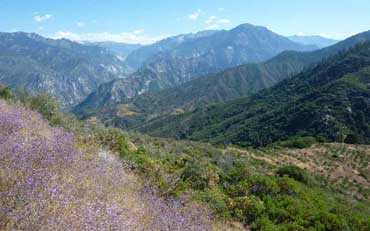 Vue sur les montagnes depuis la Kings Canyon Scenic Byway