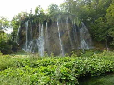 Cascade majestueuse entourée de végétation luxuriante dans le parc national de Plitvice, en Croatie, 
												avec des chutes d’eau s’écoulant le long d’une falaise couverte de mousse