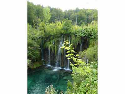 Petite cascade verdoyante se déversant dans un lac d’eau turquoise au cœur du parc national de Plitvice (road trip 
												Croatie) entourée d’une végétation dense et paisible