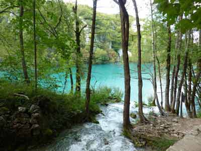 Sentier forestier longeant un ruisseau clair avec vue sur un lac turquoise et des cascades dans le 
												parc national de Plitvice, en Croatie