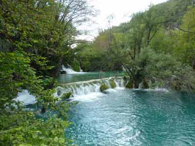Cascade au cœur du parc national de Plitvice en Croatie, entourée d'une végétation luxuriante et d'eaux 
												turquoise, prise lors d’un road trip en Croatie