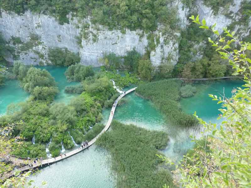 Passerelle en bois serpentant à travers les lacs turquoise et la végétation luxuriante du parc national de Plitvice, vue depuis un belvédère lors
d’un road trip en Croatie