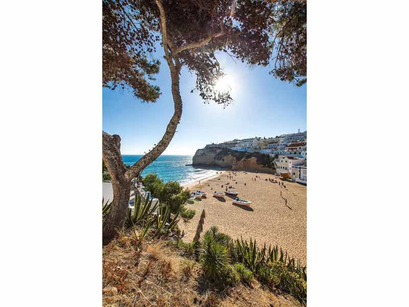 Vue panoramique sur la plage de Carvoeiro dans l’Algarve, Portugal, avec bateaux traditionnels et falaises en arrière-plan