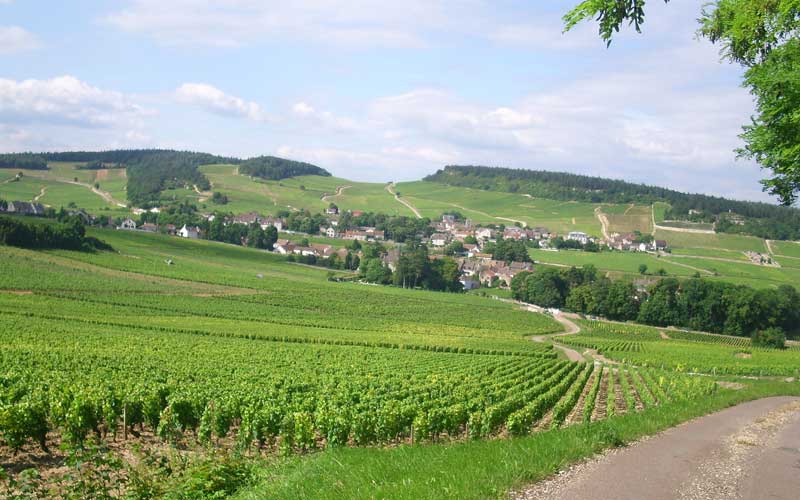 Vue de Mercurey et d'une partie de son vignoble