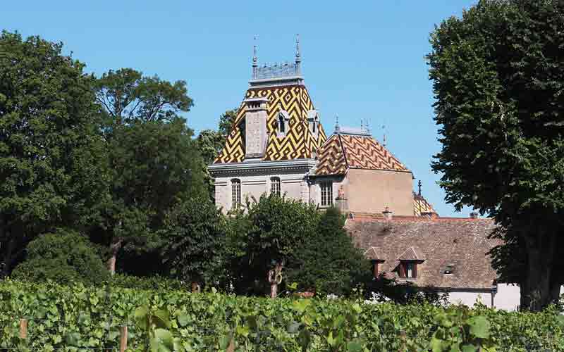 Domaine viticole du château de Corton André à Aloxe-Corton