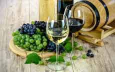 Dégustation vin de Bourgogne dans un domaine viticole