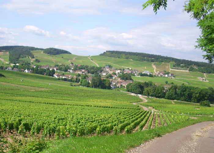 Vue sur Mercurey et sur une partie de son vignoble