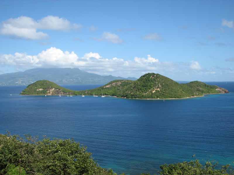 Îlet à Cabrit dans la baie de Terre-de-Haut aux Saintes, îlot verdoyant face à la Guadeloupe
