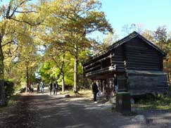Habitation traditionnelle suédoise en bois