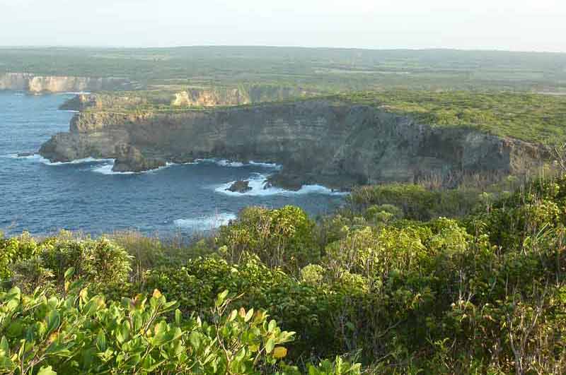 Vue panoramique sur les falaises de la Pointe de la Grande Vigie en Guadeloupe, entourées par l’océan Atlantique et une végétation luxuriante, offrant un paysage sauvage et spectaculaire sous un ciel dégagé