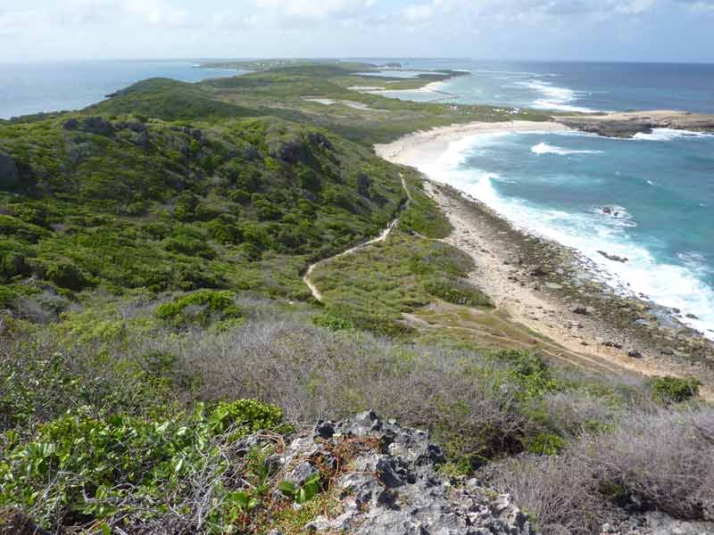 Paysage de la Pointe des Châteaux en Guadeloupe, avec un sentier sinueux traversant une végétation dense, des plages de sable blanc bordées par l'océan Atlantique et une vue panoramique sur le littoral sauvage sous un ciel lumineux