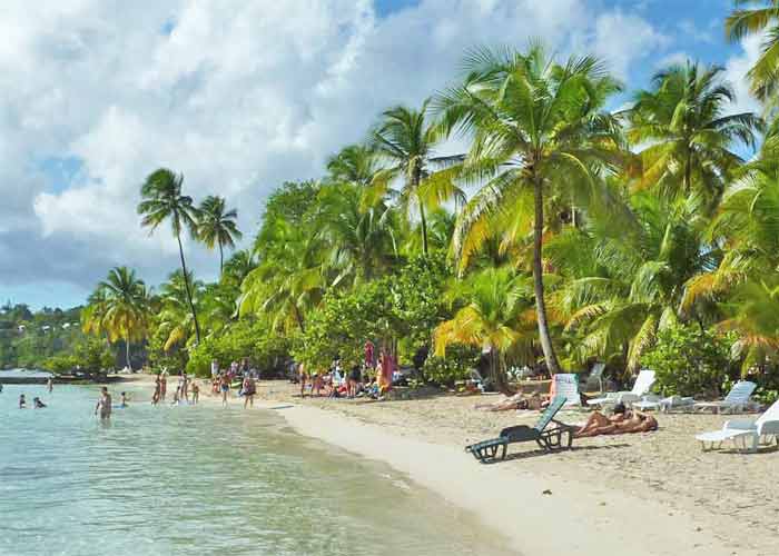 Plage de la Caravelle en Guadeloupe bordée de palmiers avec des chaises longues, des vacanciers et une mer calme sous un ciel partiellement nuageux