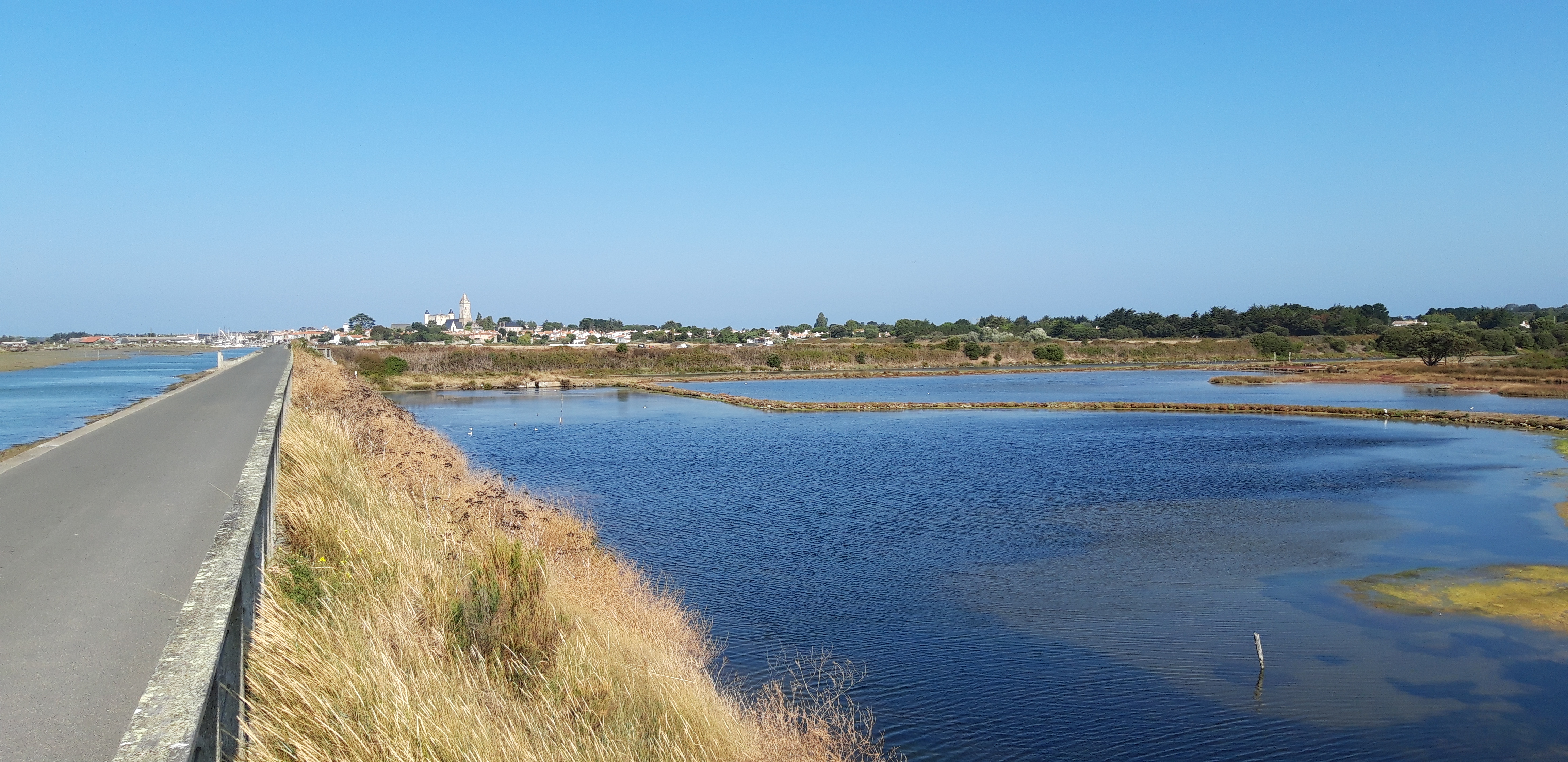 Vue sur Noirmoutier-en-l'Île depuis la piste cyclable