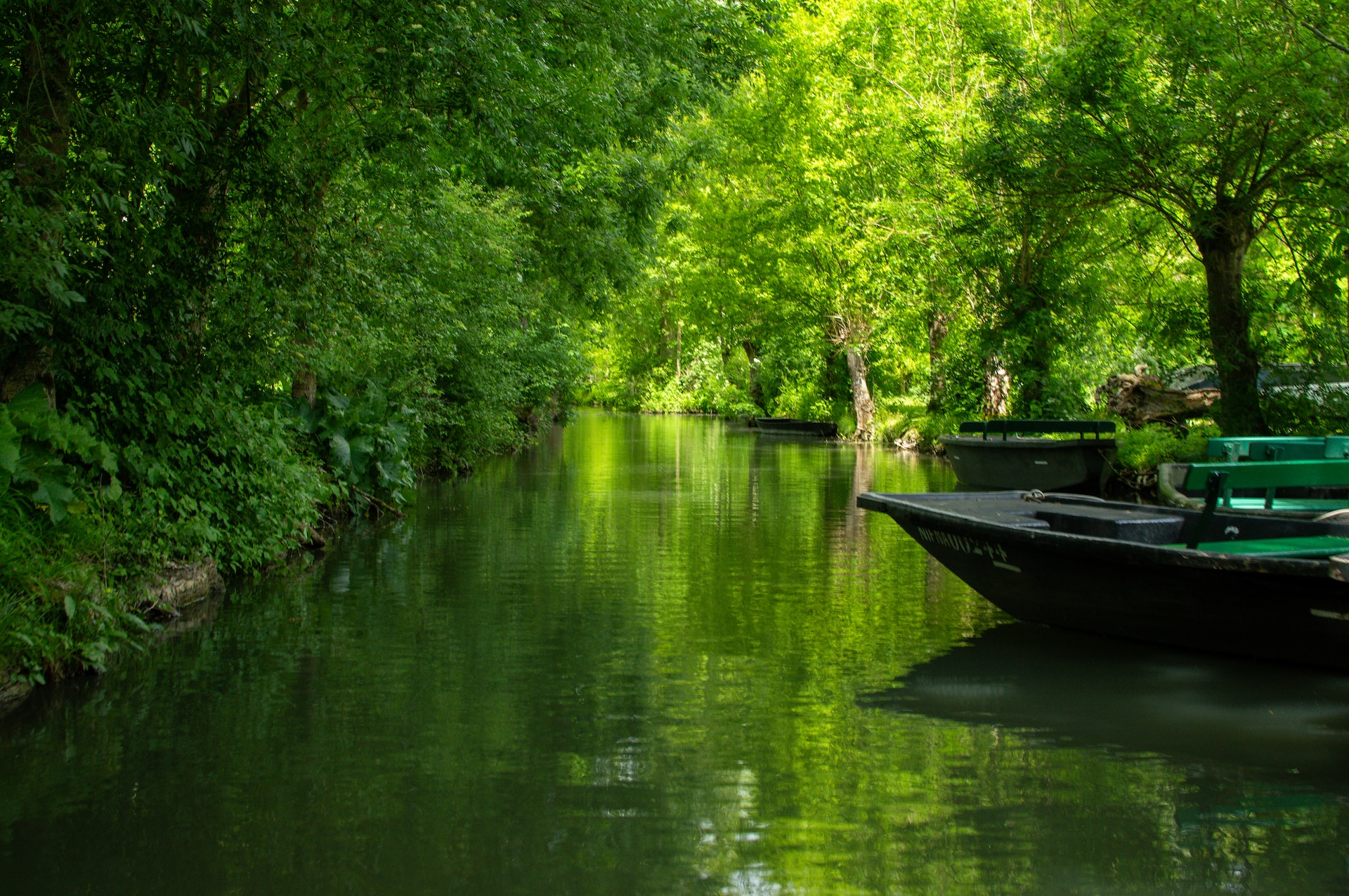 Barques sur un des canaux du Marais poitevin en Vendée, France
