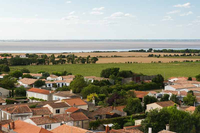Vue sur la baie de l’Aiguillon et ses marais depuis les toits d’un village du sud Vendée, réserve naturelle des oiseaux hivernants