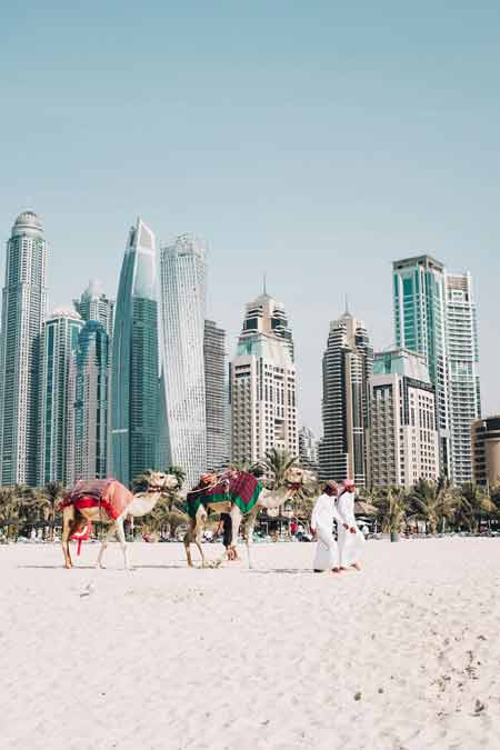 Dubaï, promenade de chameaux sur la plage avec la skyline futuriste de la ville en arrière-plan