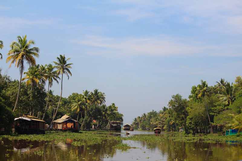 houseboat sur les backwaters d'Alleppey, Kerala, entre cocotiers et canaux