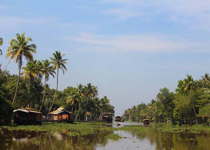 houseboat sur les backwaters d'Alleppey, Kerala, entre cocotiers et canaux