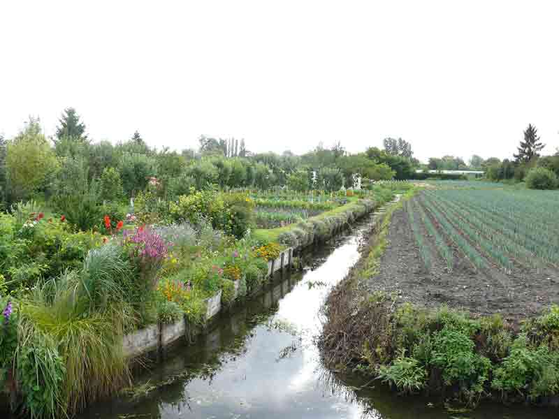 Hortillonnages d'Amiens, paysages verdoyants avec canaux sinueux, jardins fleuris et parcelles cultivées, reflet du patrimoine maraîcher unique de la région
