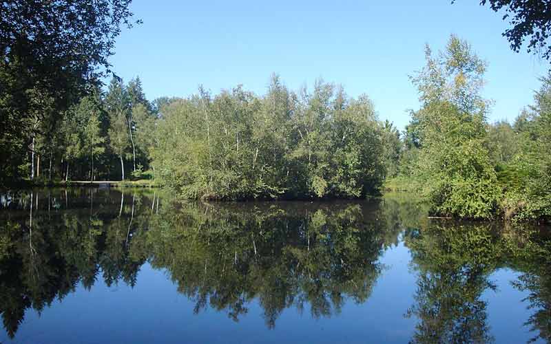 Lac dans le domaine de l'Arche de la Nature au Mans