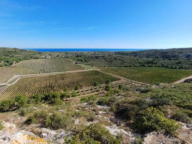 Vignobles et garrigue du massif de la Clape avec la Méditerranée en arrière-plan