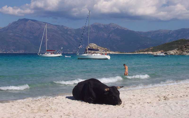 Plage du Lotu