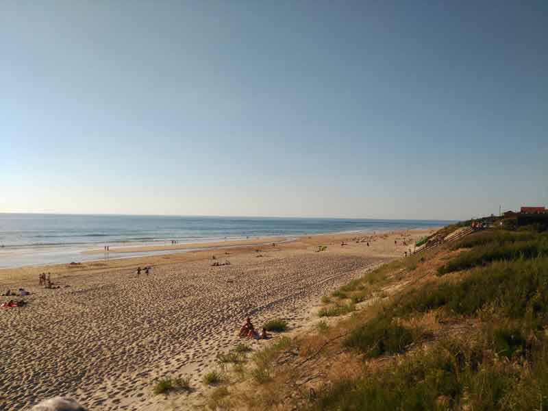 Grande plage de sable fin à Mimizan, bordée par des dunes et l’océan Atlantique sous un ciel dégagé
