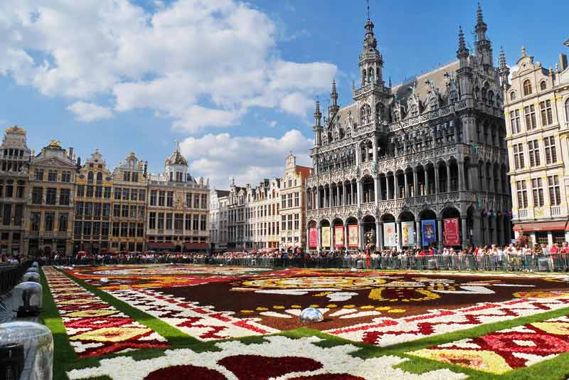 Grand-Place de Bruxelles ornée de son tapis de fleurs estival, entourée de bâtiments historiques sous un ciel bleu