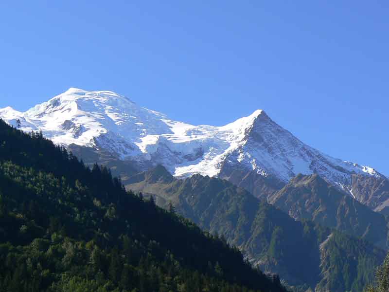 Vue sur le Mont-Blanc depuis Chamonix par temps clair, sommet enneigé et forêts au premier plan