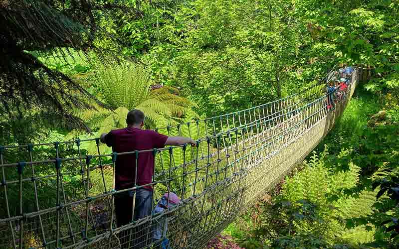 Pont de corde dans la jungle (jardins perdus de Heligan, lost gardens of Heligan)