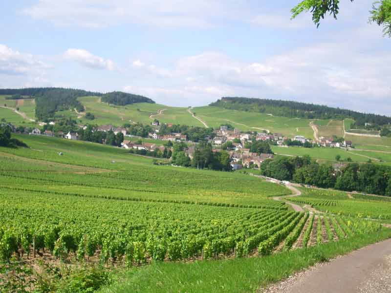 Vignobles de Bourgogne sur la route des Grands Crus entre Dijon et Beaune, avec vue sur un village viticole entouré de collines verdoyantes